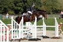 Balarina at Felbridge Oct 2011